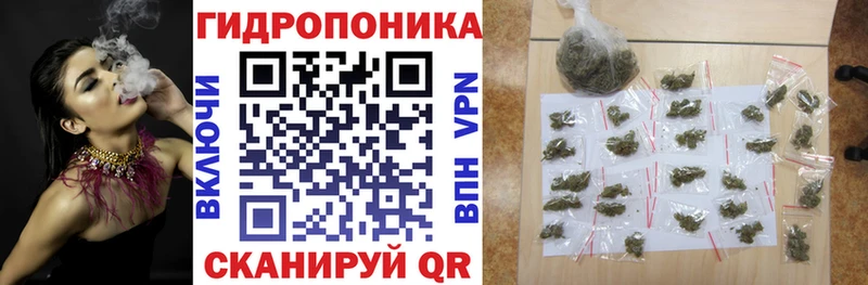 hydra ссылки  Сураж  Конопля Amnesia 
